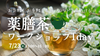【8/17(日)10:30～】お気軽・お手軽！自分ブレンドを見つける『薬膳茶ワークショップ』