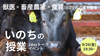 渋谷・通信【9/26(金)19:30~】獣医 × 畜産農家 ✖️ 食育の３つ立場で語る「いのちの授業」1dayトークイベント〜いのちと食べ物の狭間〜