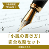 「小説創作」完全攻略セット【「大」ご乱心セール70%OFF・5本限定】