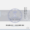 ☆期間限定40%OFF！“個の最大化”を達成するための「SAILシステム」/対象講座受け放題パスポート！
